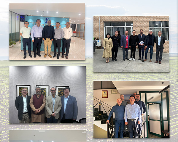 proveedor de rodamientos