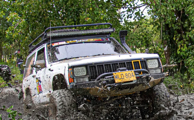 ¿Qué es un caso de transferencia en un coche?