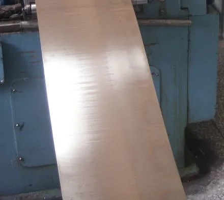 Varilla de aleación de níquel/tira/alambre en 100 (EMS55089)